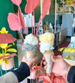 MASTIKA – Ice Cream Jungle of Colour